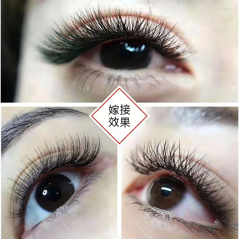 Faux Cils Volume Pré-Faits 10D / 20D – Extension de Cils Professionnelle